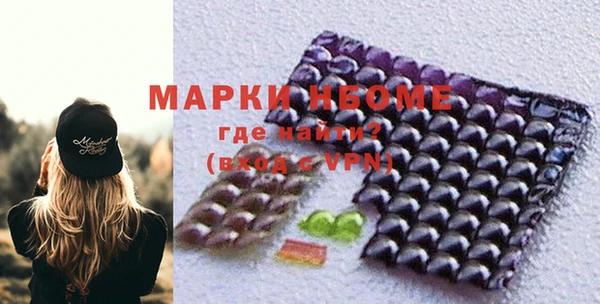 индика Дубовка