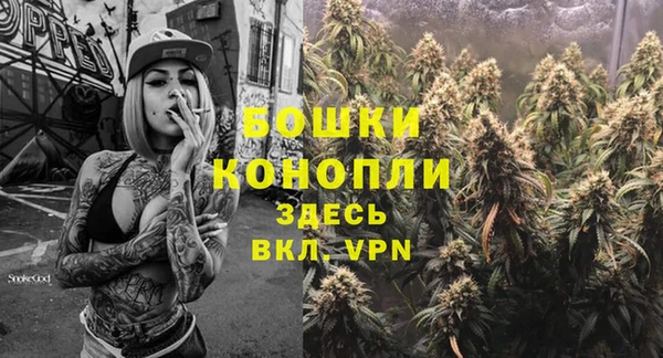 амф Бронницы