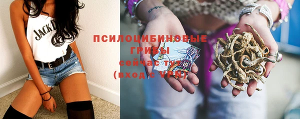 амф Бронницы