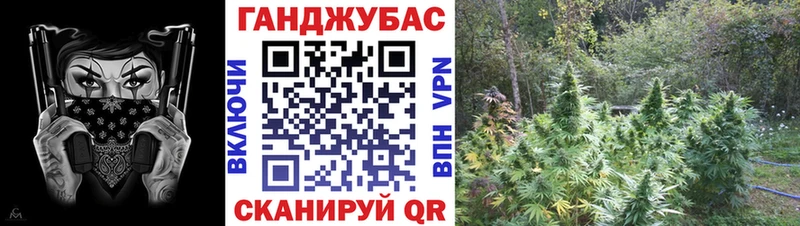 закладки Семёнов Канабис ГИДРОПОН